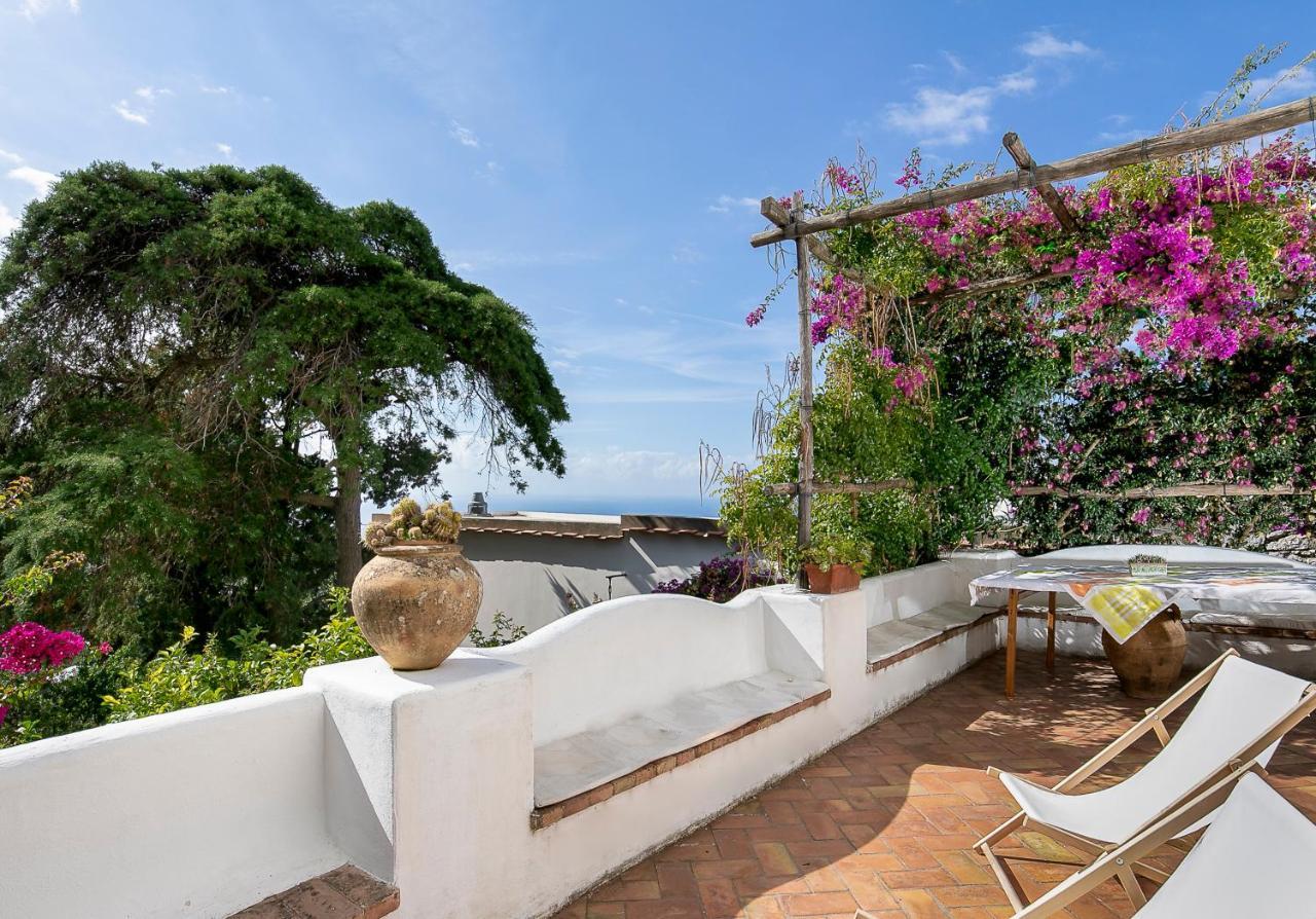 Il Geranio Bed & Breakfast Анакапри Екстериор снимка