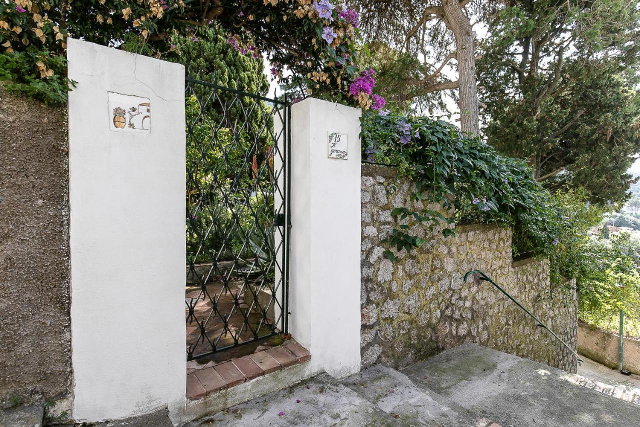 Il Geranio Bed & Breakfast Анакапри Екстериор снимка
